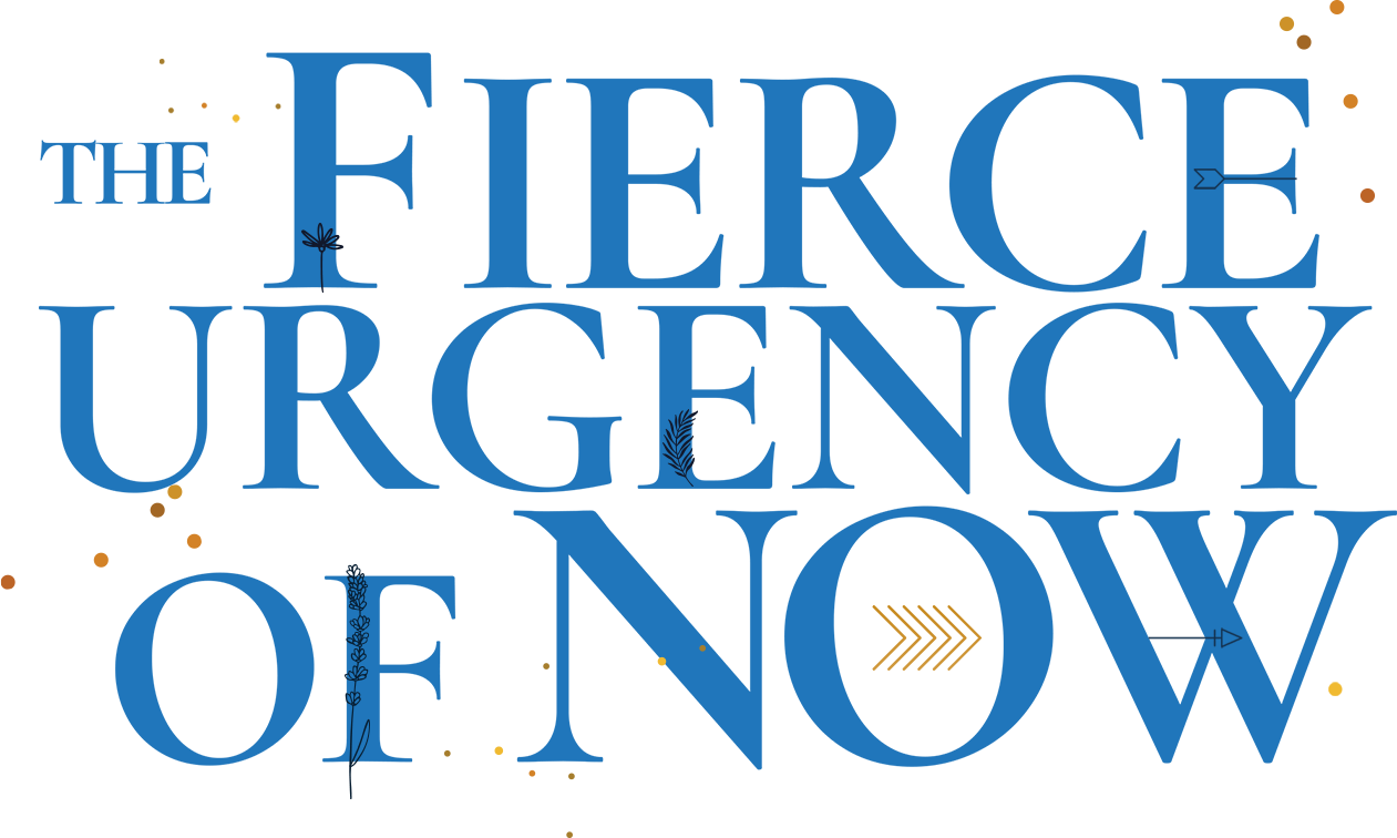 Fierce Urgency of Now